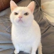 要掉小珍珠了TT