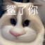 F房盗门