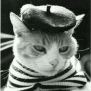 浪叫高手喵师傅