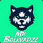 MrBolkvadze