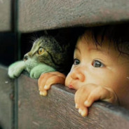 慢慢走，欣赏啊！