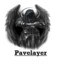 Pawelayer #looking  programmer