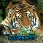 bobekw33