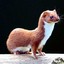 GLOCK WEASEL