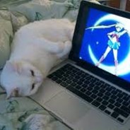 Cebula - steam id 76561197965653674