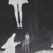avl (альт-акк)