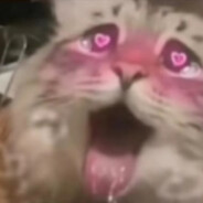 她和龙狙皆高磨