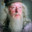 Albus Dumbledore