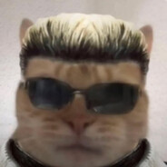 Albert Whiskers