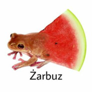 Żarbuz