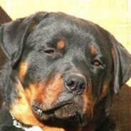 小逯中投只打铁