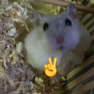 肥肥胖胖是太阳