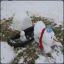Longshot-Snowy