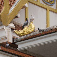 你根本没在动物园