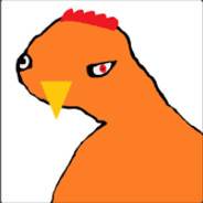 Qurczook