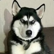 律政先锋斯内克