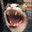[ZNX][I Have Paws] P1ng Cat