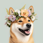 Dewder