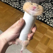 Mr.Piss