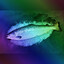 Fish [Happy Pride month :D]