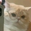 YR