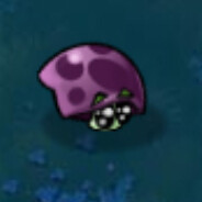 哥别说了我害怕