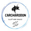 Carcharodon