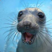 ElVampo - steam id 76561197965679907