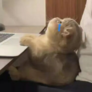 我超勇的 真的！