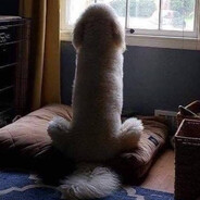 w0znya - steam id 76561199085720051