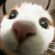 ssssssssssssssssssssssssssssssss