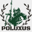 Poluxus