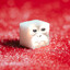Cube Monkey
