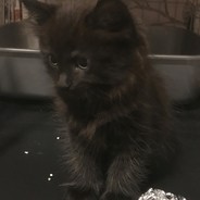 [GB] Mathew