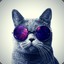 cat_with_glasses