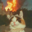 MeoowMoore