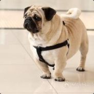 童话都是骗人的