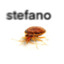 STEFANO OBLITERADOR DE UTERO