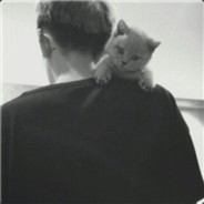 没有感情的刷碗机器