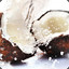 Crackedcoconuts