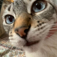 76561198755529918 avatar