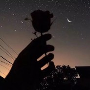 凄凉别後两应同