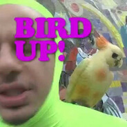 Bird Up