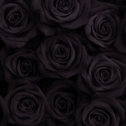 Eskimos - steam id 76561198137835991