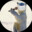 Quarantined_Polarbear