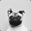 puG.IwnL