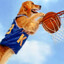 Game 2 Air Bud