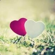 浅吟低唱、爲妳歌舞