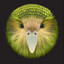 DumbParrot