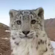 理塘纯真丁一郎